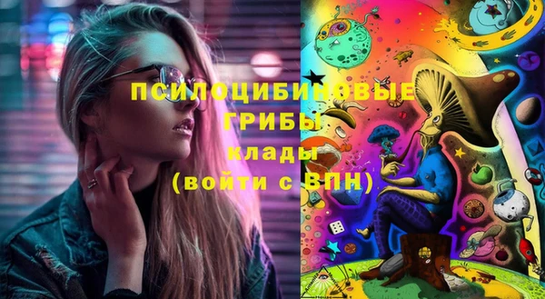 твердый Богородицк