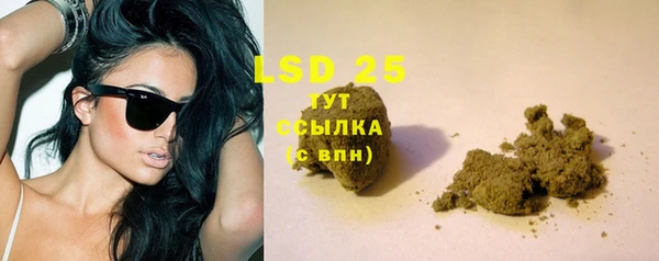 твердый Богородицк