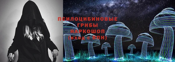 мдпв Богданович