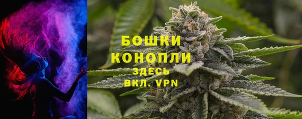 твердый Богородицк