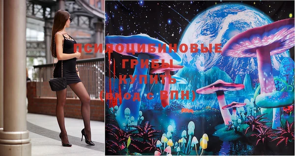 твердый Богородицк